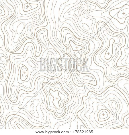 Landscape Geodesy Topographical Map Line with Mountain Texture Background Pattern. Vector illustration