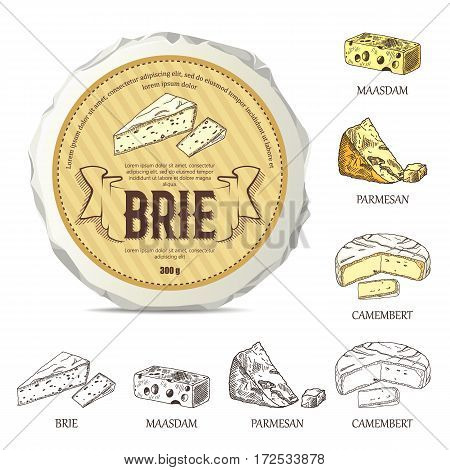 Creative sticker for brie on round cheese mockup. Vector illustration with vintage label. Hand drawn template used for advertising cheese and graphic icons good for logo design or emblem creation.