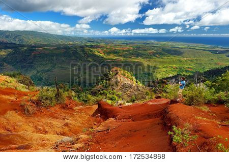Young Male Tourist Enjoying The View Into Waimea Canyon, Kauai, Hawaii