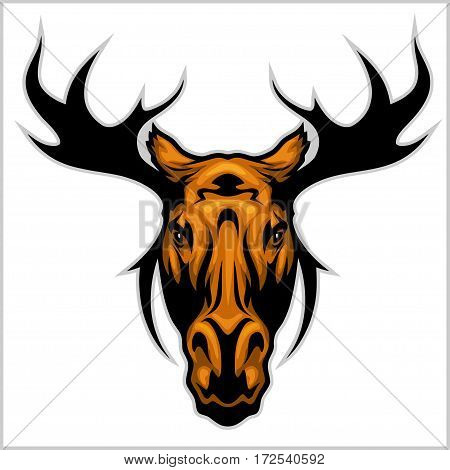 Moose head - isolated on white background. Vector illustration.