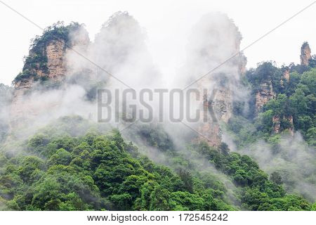 Photo of Beautiful Rock Mountains with Green Trees Surrounded by White Mist Clouds. Green Mountain Landscape
