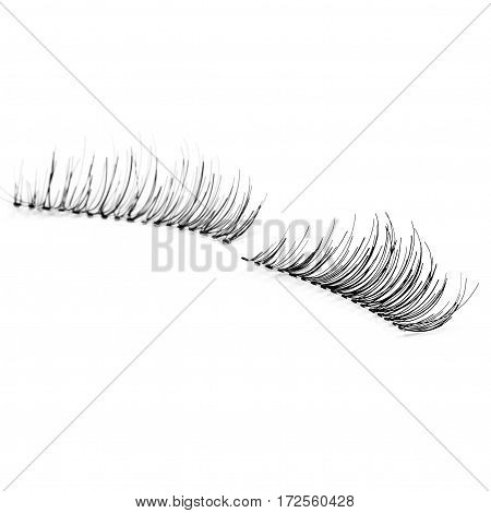 false eyelashes, black false eyelashes, isolated on white background