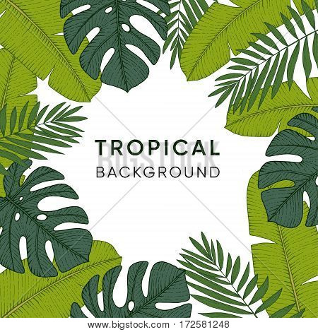 Frame made of hand drawn tropical palm banana and monstera leaves. Engraving design. Botanical vector illustrations exotic jungle background.