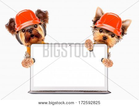 Fixing computer and repair center concept with cute dogs. Template for web page with 404 error, page is lost and not found message, under construction.