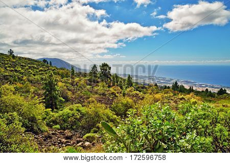 Landscape with valley, mountains, sea from road to Teide National Park, Tenerife, Canary Islands, Spain 