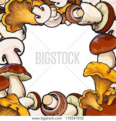 Square frame of chanterelle, champignon, porcini edible mushrooms with round place for text, sketch vector illustration on white background.
