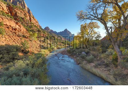 a scenic landscape along the Virgin River in Zion National Park Utah in autumn