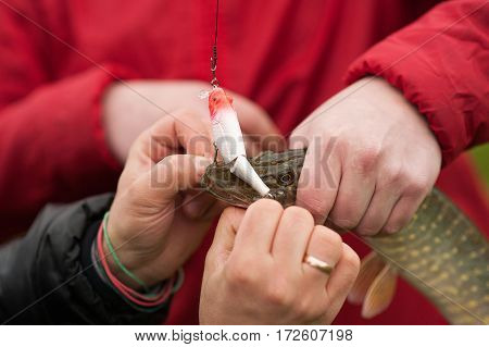 Nice catch pike fish caught using fishing rod and lure