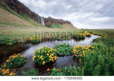 Sunrise on Seljalandfoss waterfall on Seljalandsa river, Iceland, Europe.