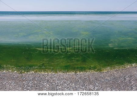 Seashore landscape