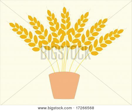 The Wheat.