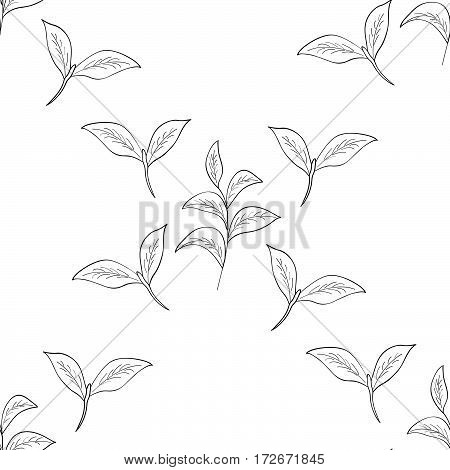 Green tea leaf illustration branch organic hand drawing sketch seamless pattern closeup.
