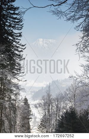 Majestic view through icy branches to a snow covered mountain peak hiding behind fog.