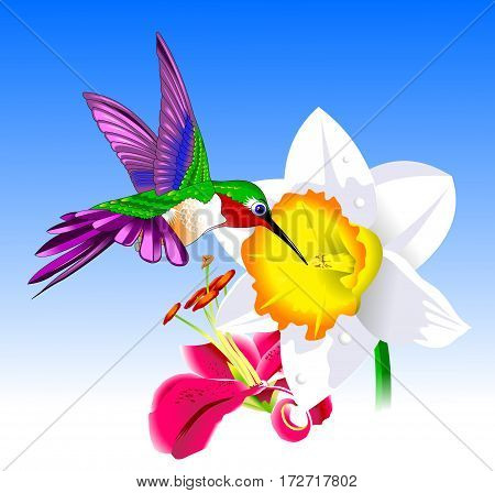 Hummingbird And Flower
