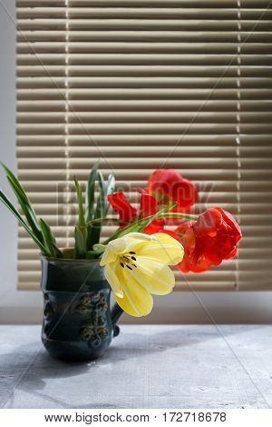 Bouquet of red and yellow spring tulips in beautiful ceramic vase against window with louver shutter close up selective focus