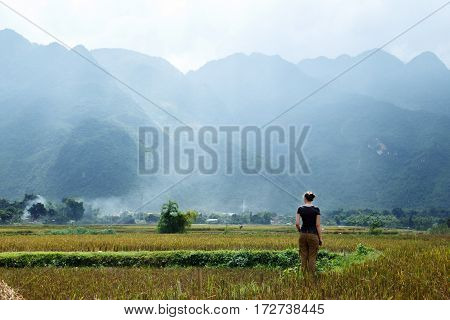Lonely girl is goes across a rice field in Vietnam