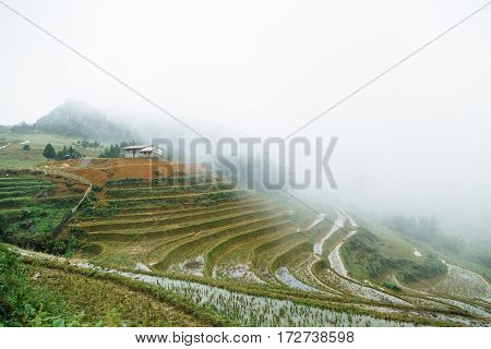 House on a hill of paddy field in Vietnam