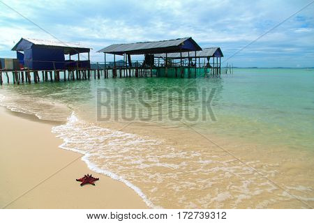 Starfish on white sand near with clear blue sea in Vietnam's island