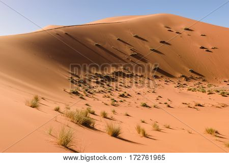 Panormaic view over the dunes of Erg Chebbi Desert near Merzouga, Morocco.