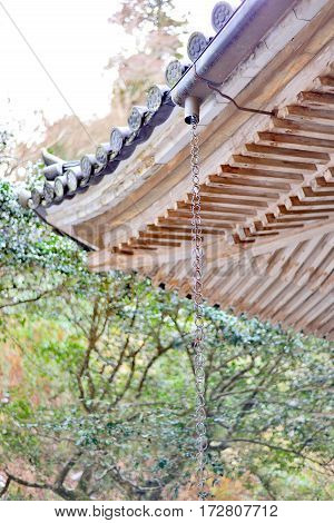 Japanese rain chain kusaritoi during a light rain Japan