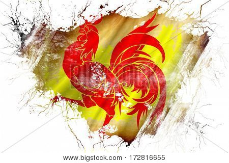 Grunge old wallony, wallonie flag 