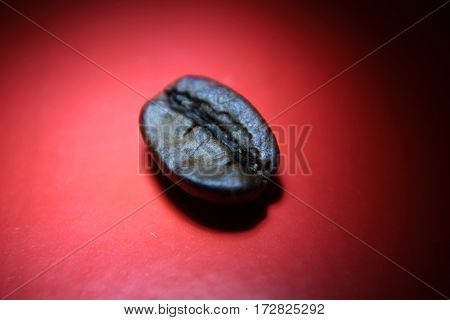 coffee isolated caffeine macro bean background ripe shot on red background