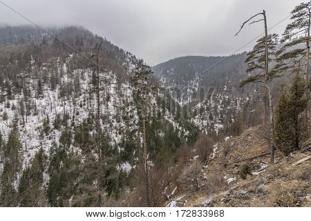 Biely Creek With Bridges And Big Hills Over Valley