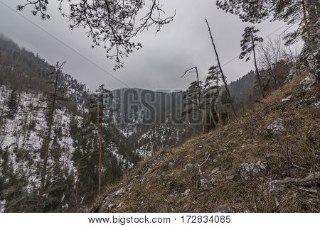 Biely Creek With Bridges And Big Hills Over Valley