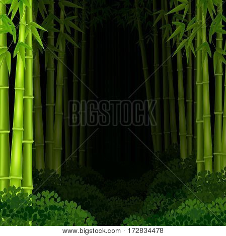 Vector illustration of Background bamboo forest at night
