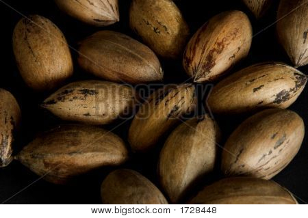 .Pecan Nuts Loose