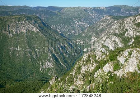 canyon of Tara River view from Curevac Mount In Durmitor National Park, Montenegro