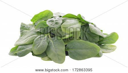 Spinach