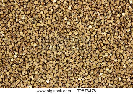 buckwheat grains background useful and tasty natural