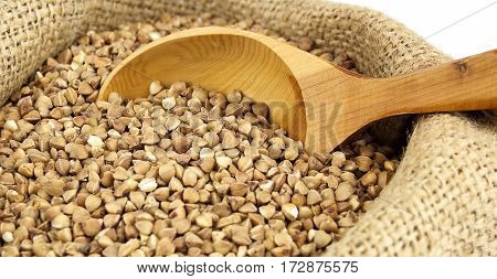 Buckwheat with wooden spoon in jute sack close up