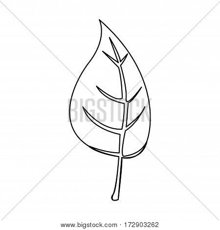 silhouette leaves icon stock, vector illustration design