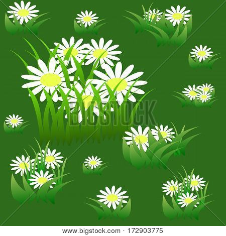 Floral seamless pattern with chamomiles and grass on summer green background. Vector illustration