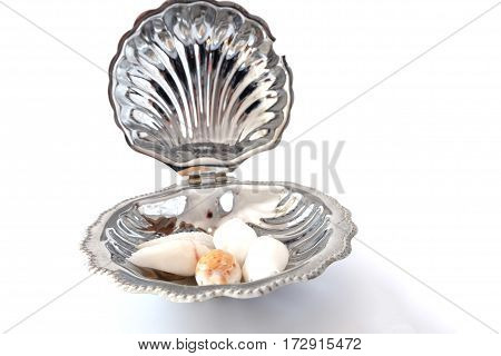 Pearl necklace in a large sea shell with small sea shells