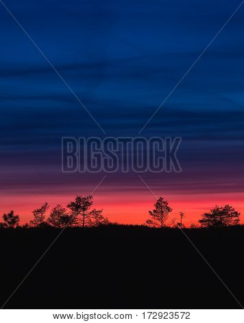 Beautiful twilight colors in the bog after sunset