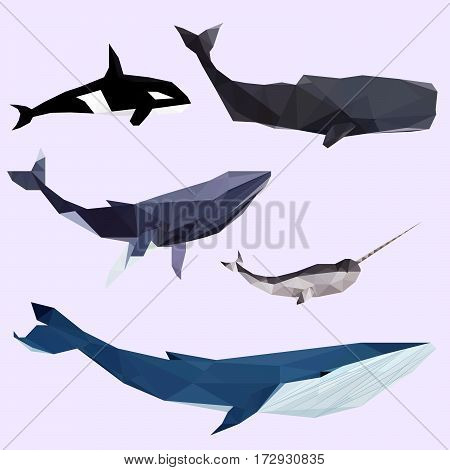 Set of geometric colored whales isolated on a background vintage design element