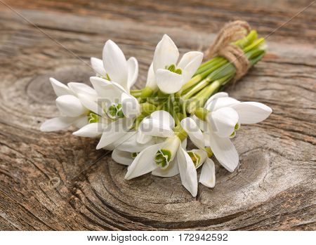 Bouquet of snowdrops on wooden background in studio