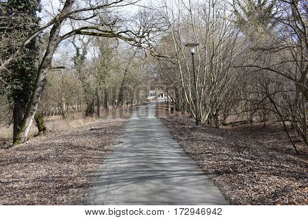 Forest road to the old castle Tikves