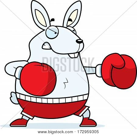 Cartoon Rabbit Boxing