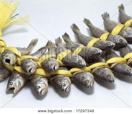 Dettagli di cibo