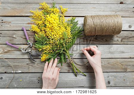 Woman hands make bouquet of mimosa. bandages twine and Gardening scissors on rustic wooden table.