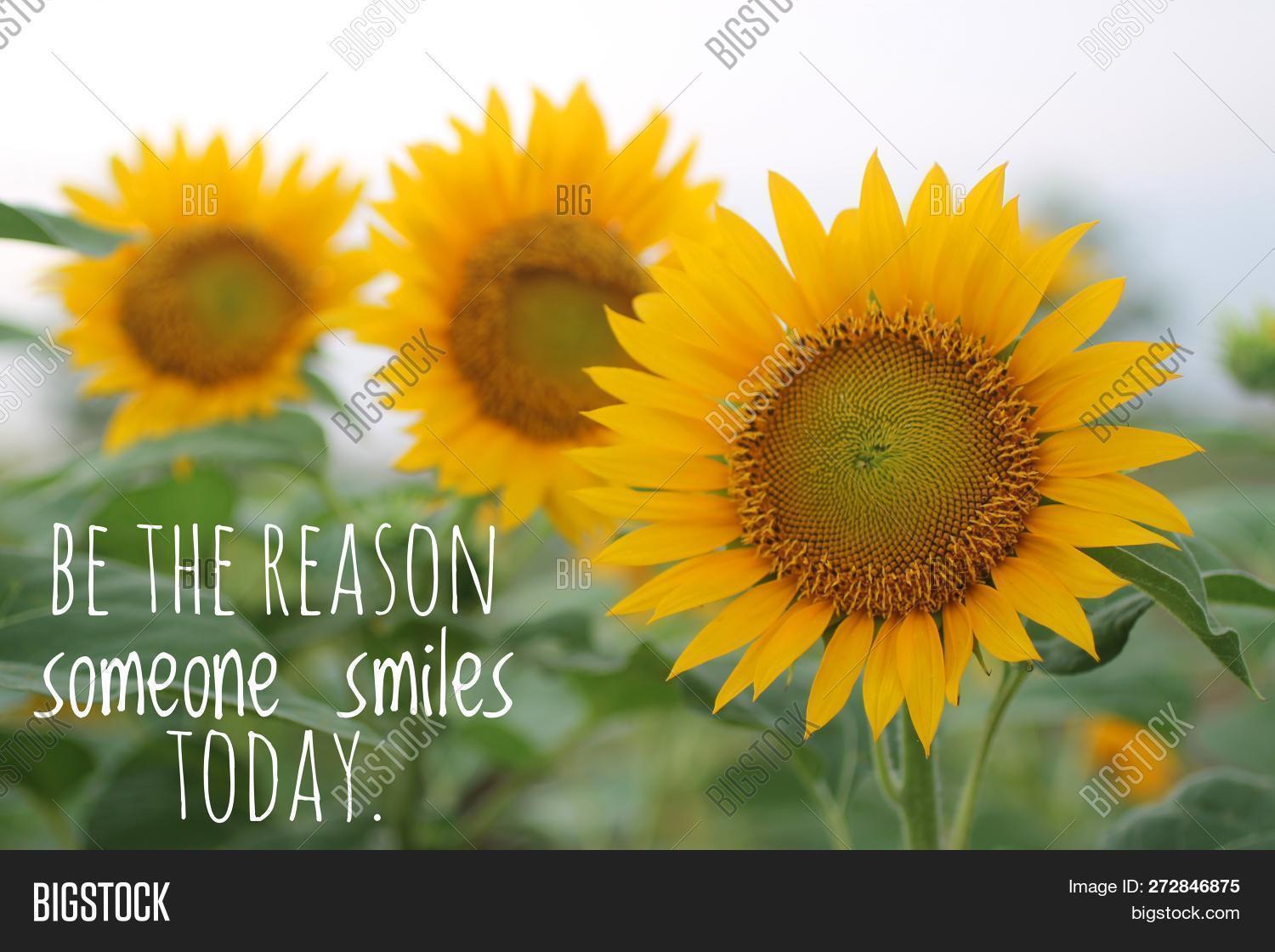 Be The Reason Someone Smiles Today Quotes Inspirational Quote-Be Image & Photo (Free Trial) | Bigstock