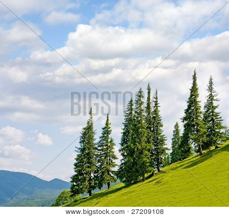 Paesaggio di montagna con alberi sul fianco della collina