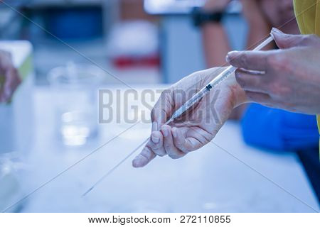 Cryopreservation Sperm Freezing Storage In The Capillary Tube