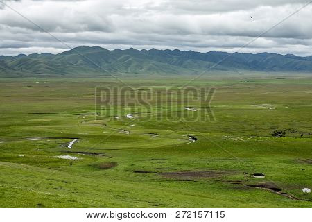 The Awancang Wetland