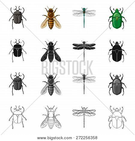 Isolated Object Of Insect And Fly Icon. Set Of Insect And Element Stock Vector Illustration.
