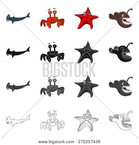 Vector Illustration Of Sea And Animal Sign. Collection Of Sea And Marine Stock Vector Illustration.